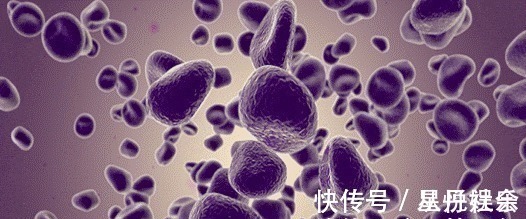 癌症|这个办法可以及时发现癌症, 避免一发现就是癌症晚期!