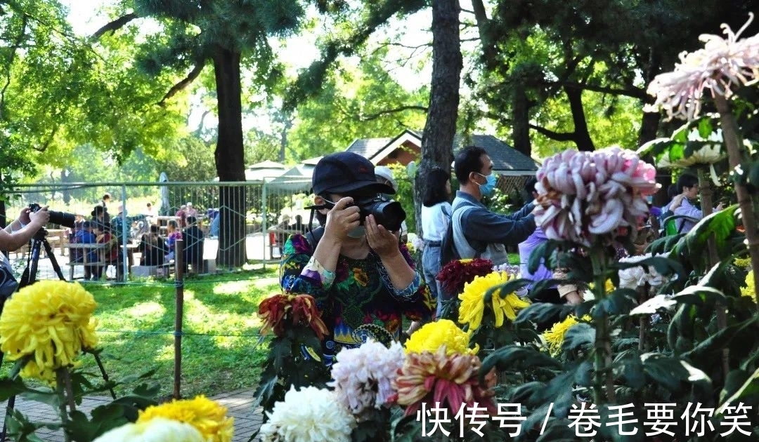 植物展&橙黄橘绿时，与您共相约