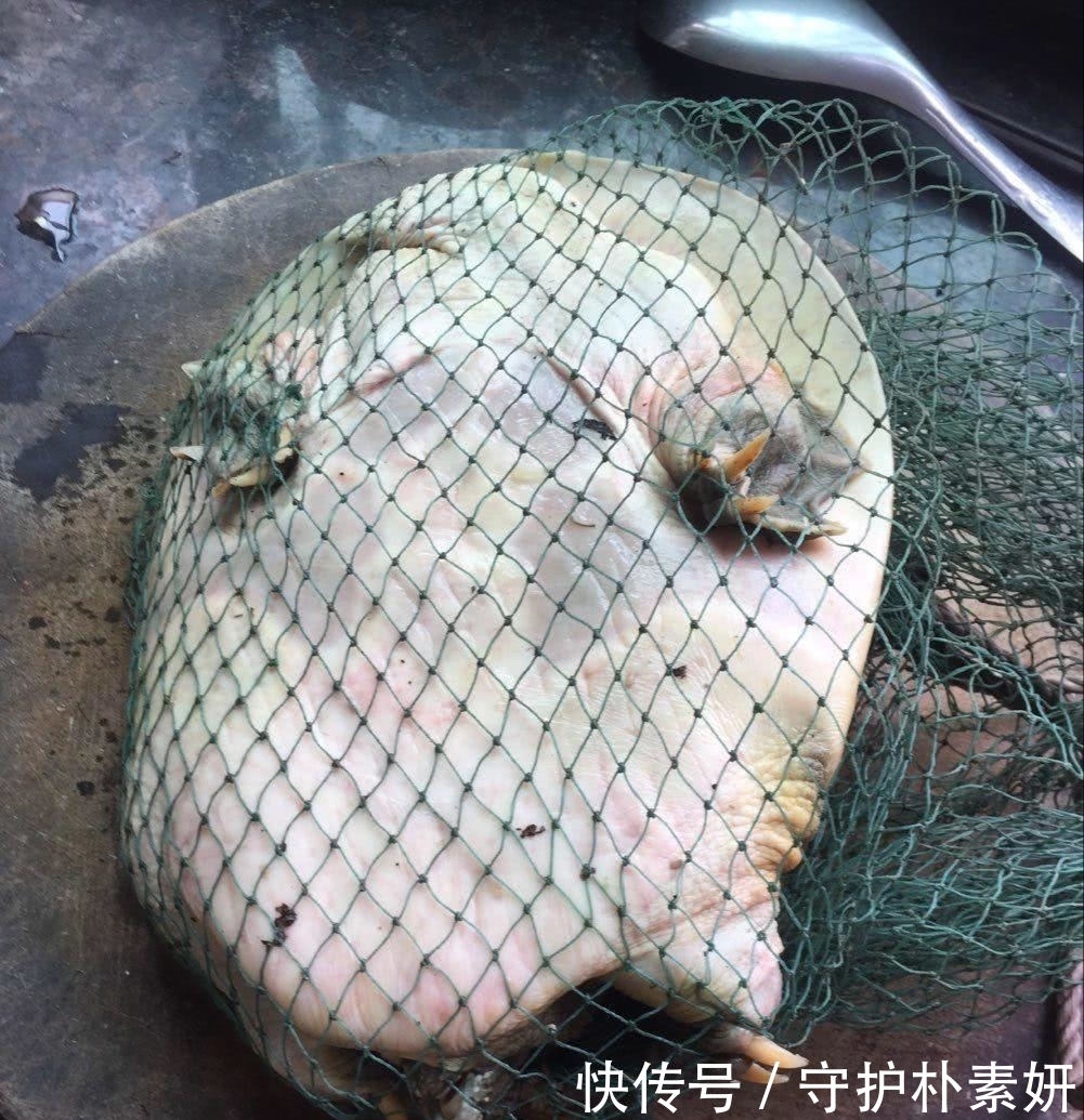 大爷|大爷洪水边上钓鱼，汹涌河水中钓起一“大物”，顿时心神不安