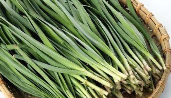 买韭菜,选宽叶还是窄叶?口感、味道区别挺大,弄懂后别再买错了