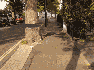 |搞笑GIF:带女朋友去动物园 我感觉好像被骗了