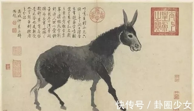 观物写生册&明代对景写生大家|沈周花鸟画《观物写生册》