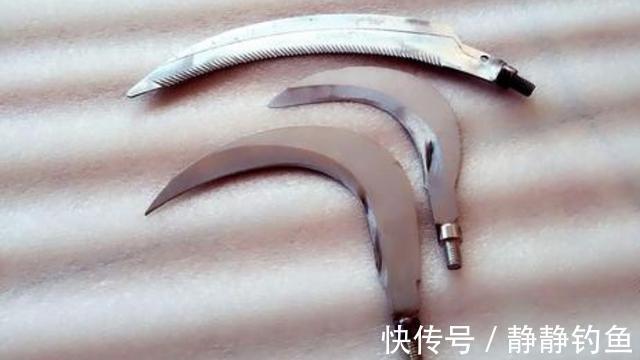 钓鱼|不是跟你吹,水草洞里钓鲫鱼,只要牢记这几点,竿竿中鱼忙不停