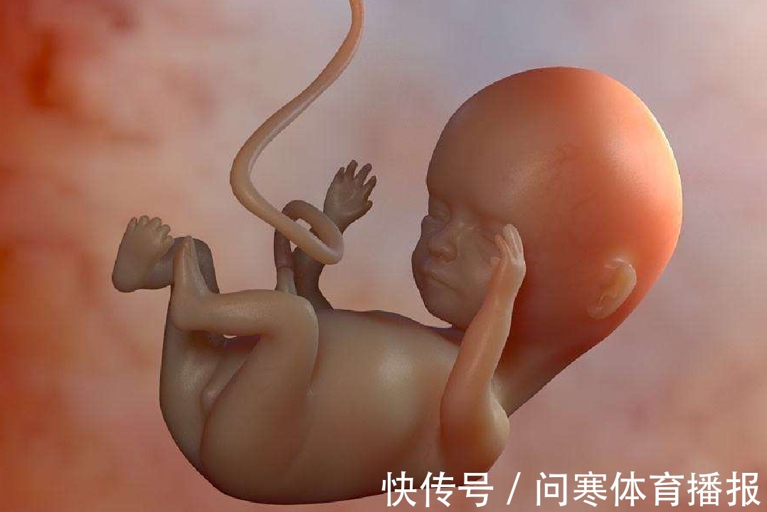 孩子|有“孕吐”和“没孕吐”生出来的孩子有啥不同?过来人:差距太大