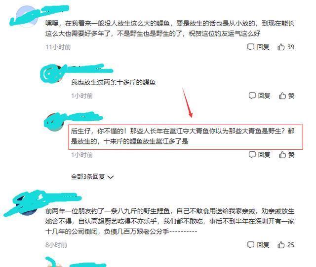 南宁钓鱼人钓获“鲤鱼王”,身长一米全身金黄,老大爷建议放生