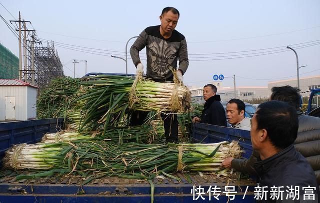 原来保存大葱一点也不难，不干不空心，轻松放半年，冬天随吃随取
