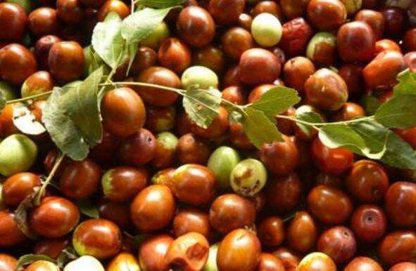 香甜可口|养生不妨坚持常吃3种食物,排毒抗菌,滋补身体,谁吃谁受益