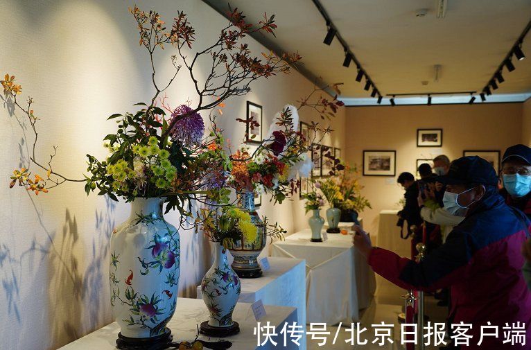 盆景|北海赏菊！北京市第42届菊花展开幕，设单向游览路线