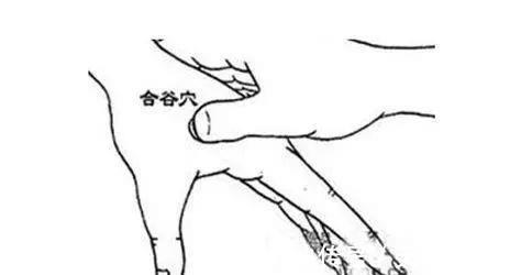 合谷穴|身体自带的止痛药!一分钱不花,头痛、牙痛、胃痛、腰痛一扫而光