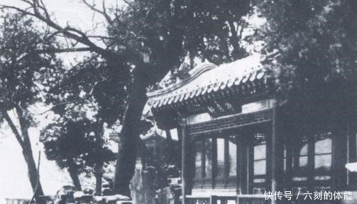 身份|皇帝去找忠臣,忠臣不但不接待,还将其收押审问,当场将其处死