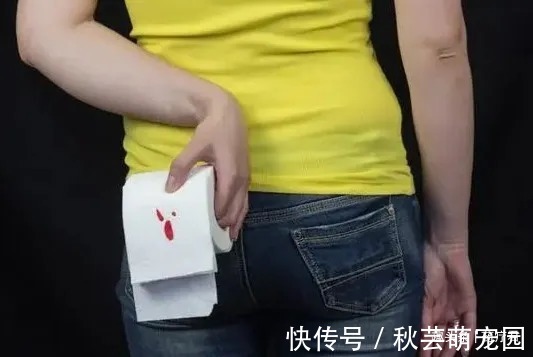 息肉|肠子里长息肉后，身体会有什么感觉？为什么切了息肉还会得肠癌？