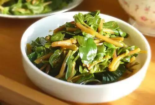 功效|马齿苋居然是“救命”的良药,究竟有哪些功效呢看完果断收藏