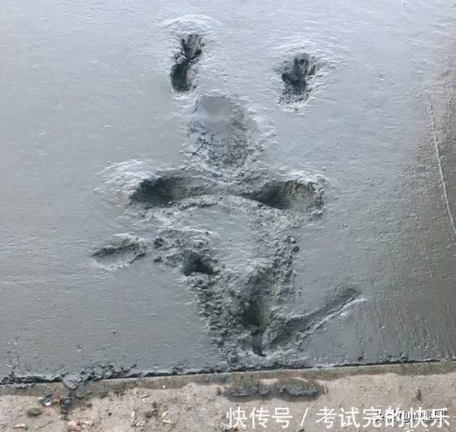 |47张“倒霉又搞笑”的图片,这些人上辈子是毁灭了银河系吗?