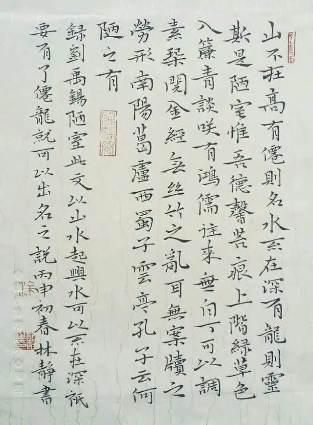 书法|她是80后美女,书功确实厉害,专家也服,夸她是书法高手!