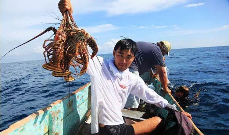 龙虾到底能活多少年?煮熟后为什么会变成红色?