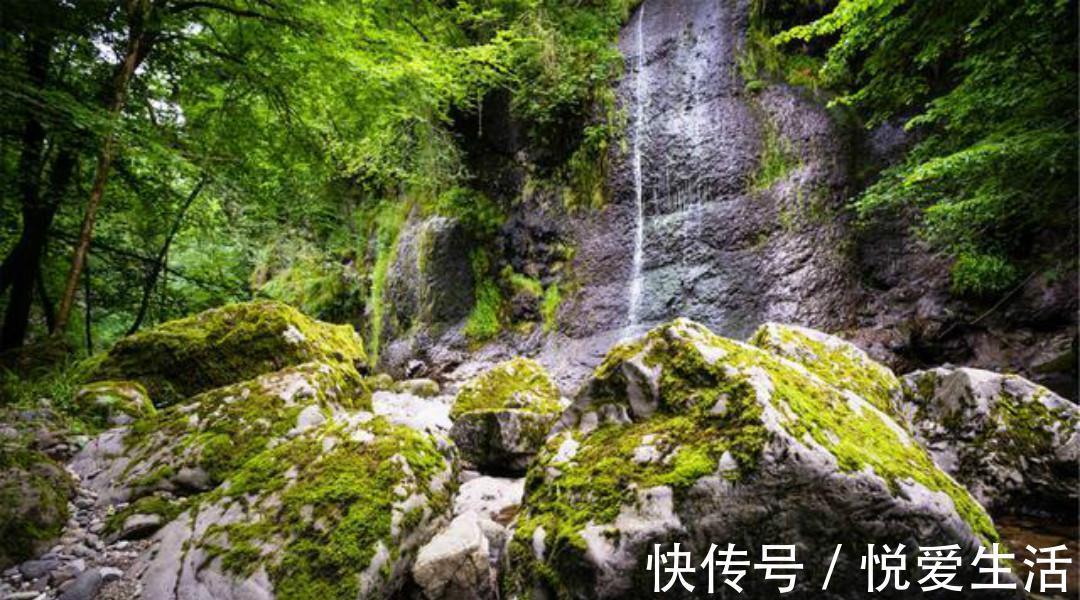 红叶#王维很唯美的一首小诗,通篇写出了新意,每一句都美得令人心醉