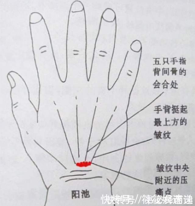 血糖|血糖高的人,身体4种表现要注意,占一个,最好检查一下血糖