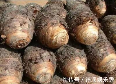 二氧化硫|这种菜不能再吃了，全是致癌的，你经常买却不知道