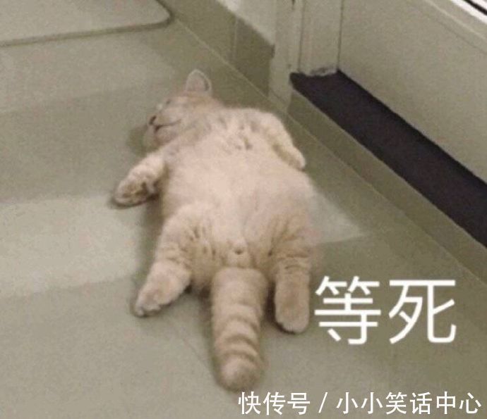 |搞笑GIF:还以为是一条花斑蛇,弄上来一看是一块布