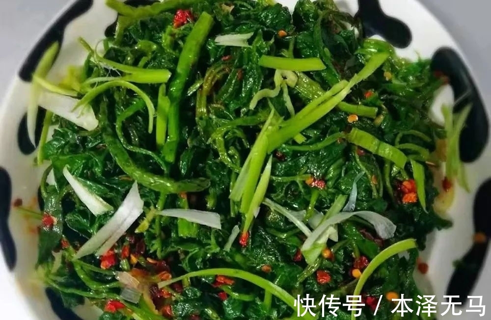 嫩枝|这种山野菜,很多人挖去种,嫩芽好吃苦中回甘,根皮可代替五加皮