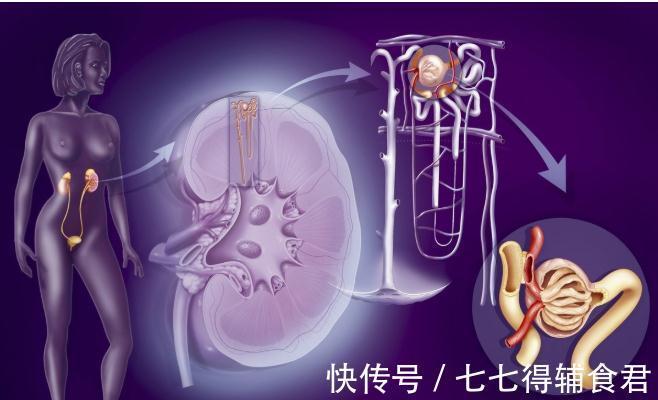 五脏|养心、养肝、养肾、养肺、养脾，养五脏方法齐全了