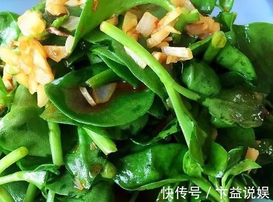 红辣椒|这6种长在地里的“天然青霉素”,隔三差五吃一回,常吃少生病