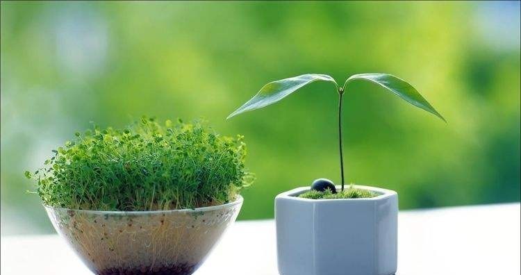 件事|《易经》中的智慧,品读明白之后,才发现人生的真谛