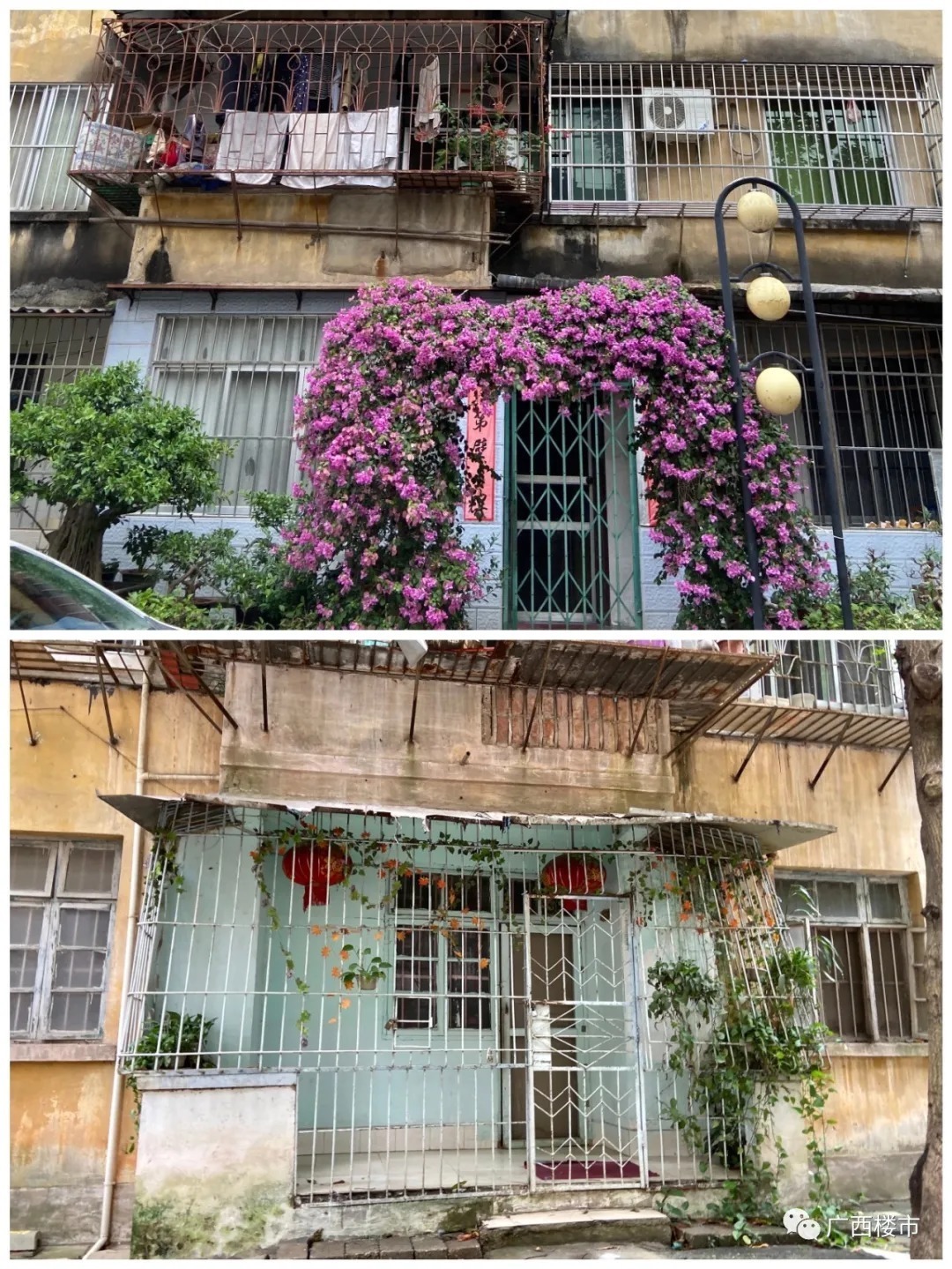 大院|轰隆隆，70年地委大院拆了一半，这个南宁十强小学学区房你能买吗？