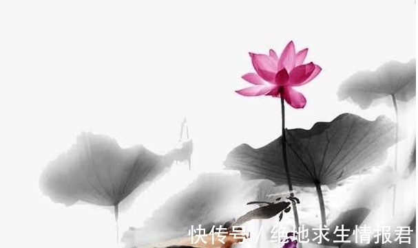 牧马频#诗词杂谈——蝶恋花