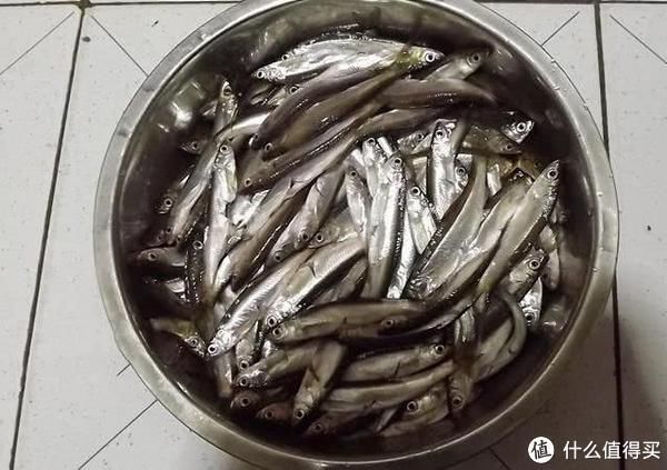 如何在走水环境中钓白条,进食特性和垂钓方式是关键,细节很关键