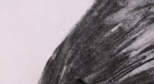 阿丽塔$美术生画了张阿丽塔肖像画,但是看到最后