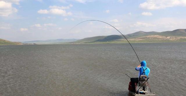 教你4招“风天钓鱼法”,鱼上得比平时还快,往后钓鱼无风不欢了