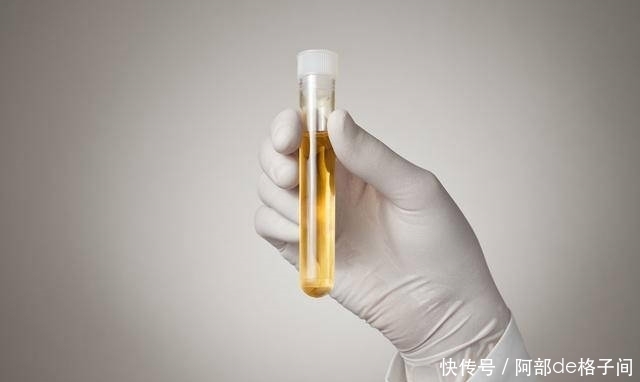 肾气|夜尿多是什么问题?除了肾气不足,这2个也是关键因素