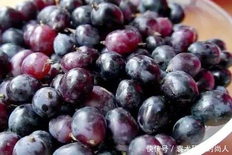 将其|5块钱1斤的水果,秋后碰到别错过,一次囤十几斤,冬天吃润燥