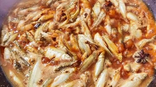 3年才长9厘米，常被误认是小杂鱼，其实营养极高，红烧一锅真鲜美