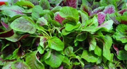 身体|中年人想要身体好,多吃4种食物,补血益气,清理体内毒素