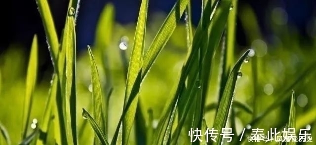 真言#多少人败在不会处理人际关系!修炼曾国藩5字真言,人生越来越顺