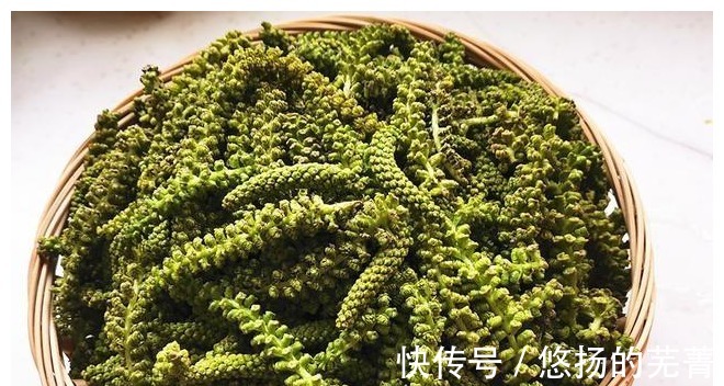 春意图|蛋白质是牛奶的7倍，人称“长寿菜”，用来包包子超级香，别错过！