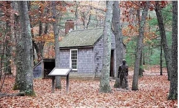 看完《瓦尔登湖》这15句,明白为啥是清华校长力荐的“必读经典”