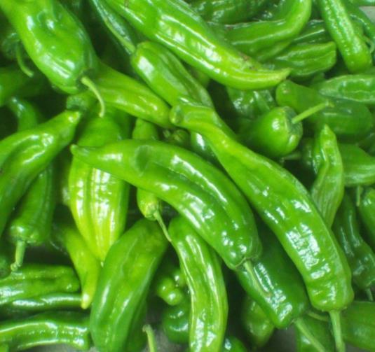 吃法|这菜是天然“净化剂”,叶绿素含量比菠菜高,常吃清除血液垃圾!