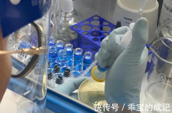 父亲|孩子身患罕见疾病无法医治,高中学历父亲救子自治物,当事人回应