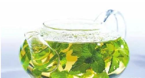 阴虚血燥|一把薄荷，巧治大病！民间11个入药良方，11种病症皆可治！