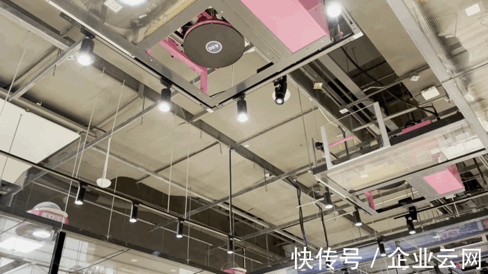 猎豹|全网都在夸的“猎豹”是什么?为何这些“黑科技”频频上热搜?