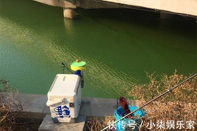 鲫鱼|天气越冷越要找鱼窝,鲫鱼喜欢藏在这些地方,找准位置下钩就上鱼
