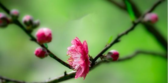 征兆|一个人,苦吃多了,即将转运,才有这三个征兆(很准)