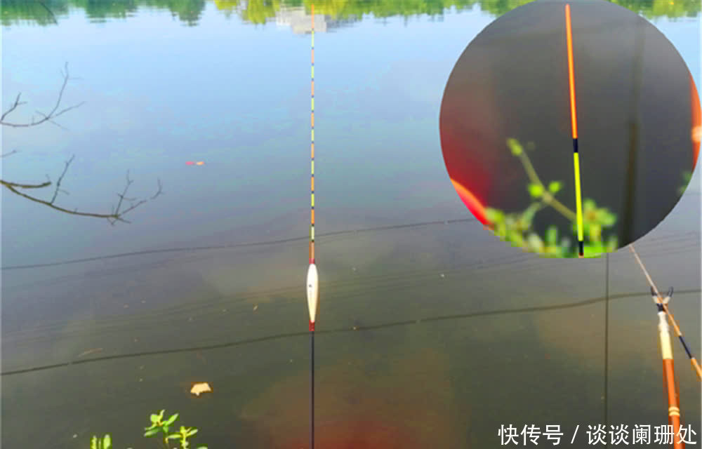 浮漂种类太多容易看花眼,如何选用合适的浮漂,需要知道的4件事