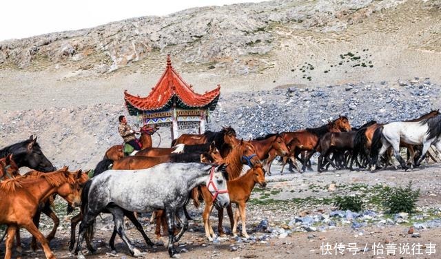 俗语:“千里不贩马,百里不贩葱”,为什么会有这样的说法?