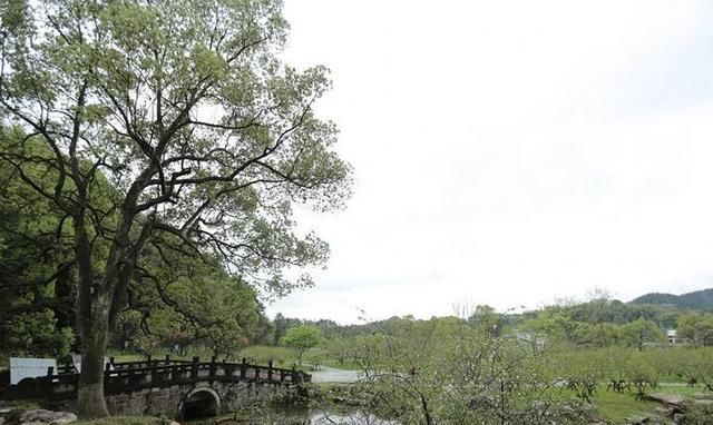 陶渊明|湖南有一处4A级景区，它是桃花源记的真迹地，传说之奇，举世闻名