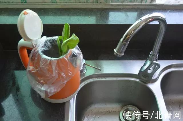 厨房|坏掉的电热水壶别再扔了,留在家里非常实用,能省不少钱