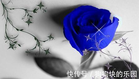 射手座座|7月依然难以走出过去,会默默关注前任的三大星座